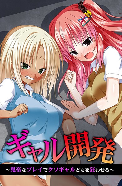 ギャル開発〜鬼畜なプレイでクソギャルどもを狂わせる〜  エロ画像2068