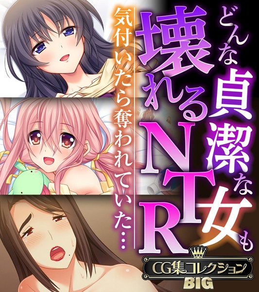どんな貞潔な女も壊れるNTR〜気付いたら奪われていた…〜【CG集コレクションBIG】  エロ画像8231