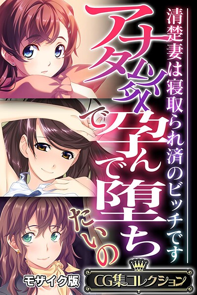 アナタ以外で孕んで堕ちたいの 〜清楚妻は寝取られ済のビッチです〜【CG集コレクション】 モザイク版  エロ画像11311